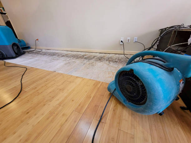 Professional Flood Damage Cleanup technician working in Morgantown, MS